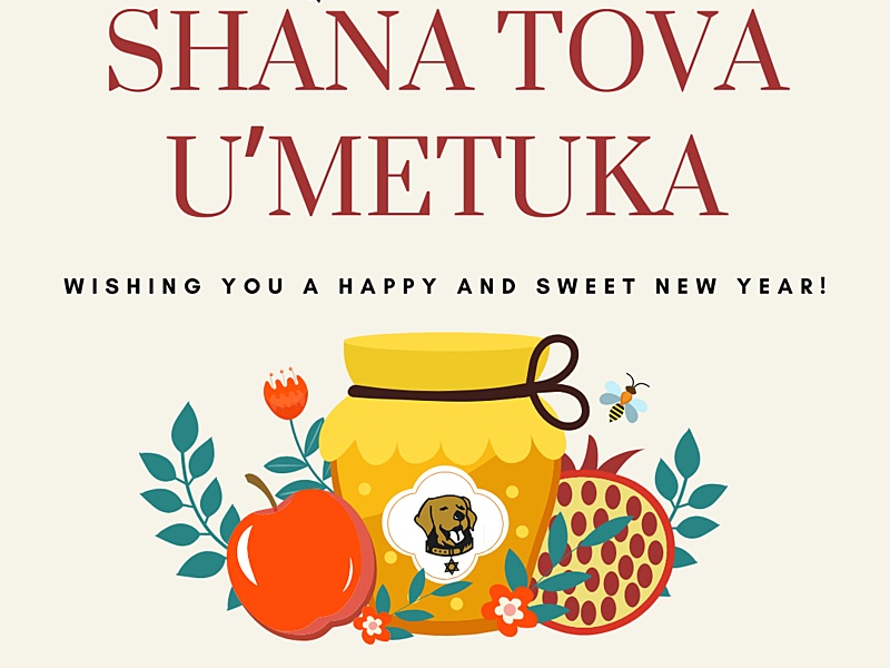 All text on the image is in all caps. At the top, big red letters write out "SHANA TOVA U'METUKA" with the translation underneath in smaller letters "wishing you a happy and sweet new year!" Under the words is clipart of a honey jar with our logo's dog in the center, an apple on the left, and the pomegranate on the right.