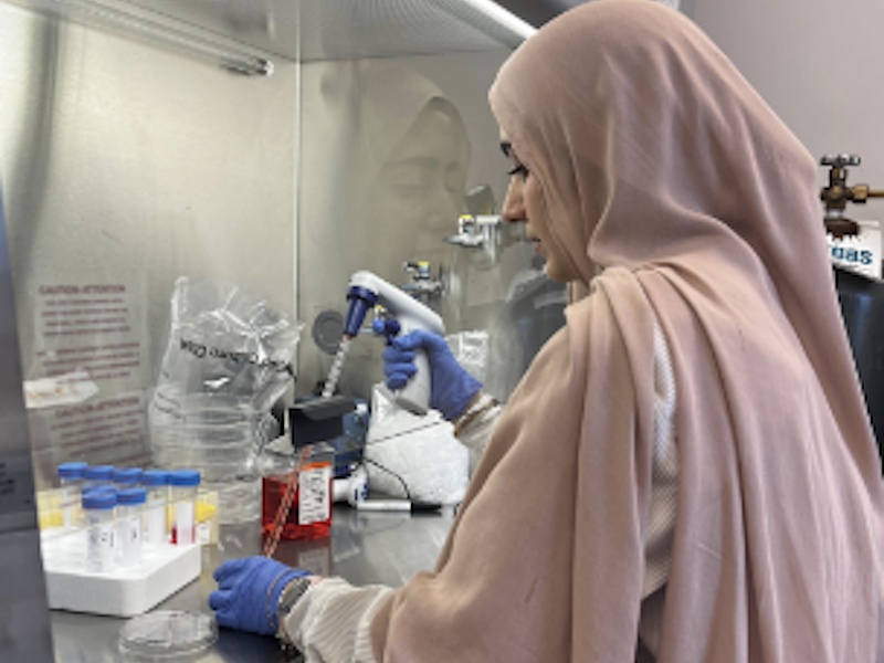 Photograph of Researcher of the Week Zoya Syed working in the Padmanabhan laboratory in the Biological Sciences department.