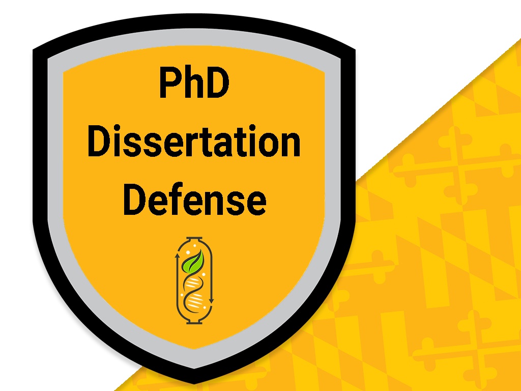 PhD Dissertation Defense: Matthew Stromberg