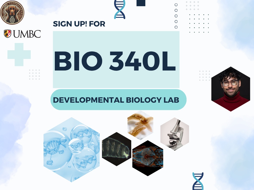 Sign up! For 
BIO 340L
Developmental Biology Lab