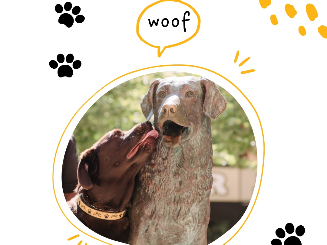 A picture of Chip posing with the True Grit Statue.