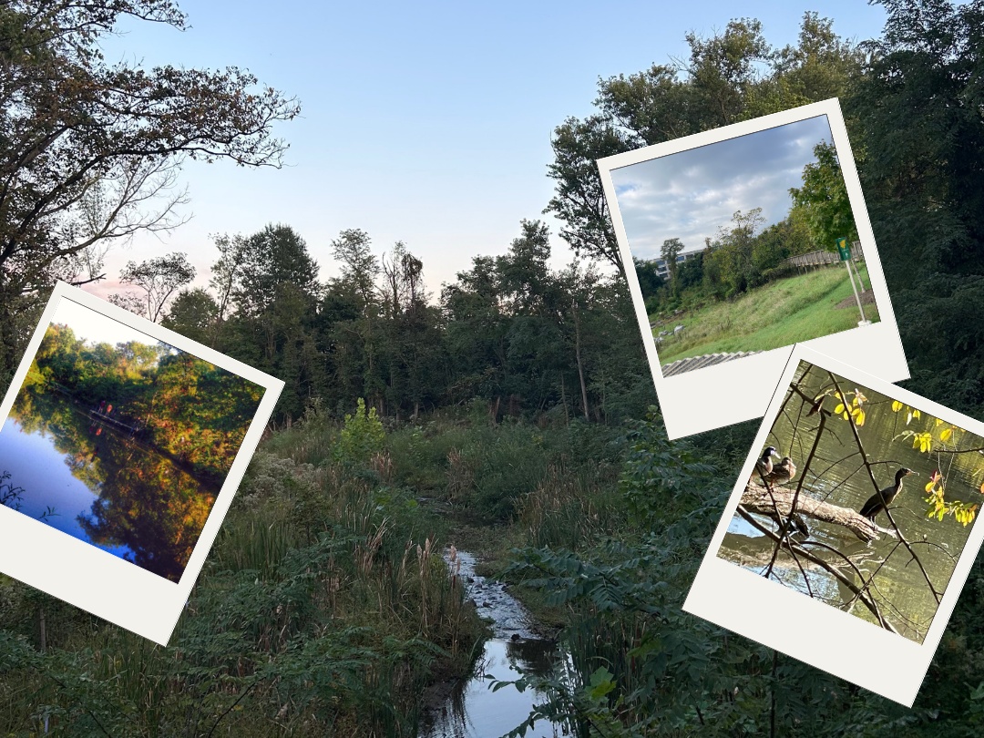 Group Hike and Photo Contest